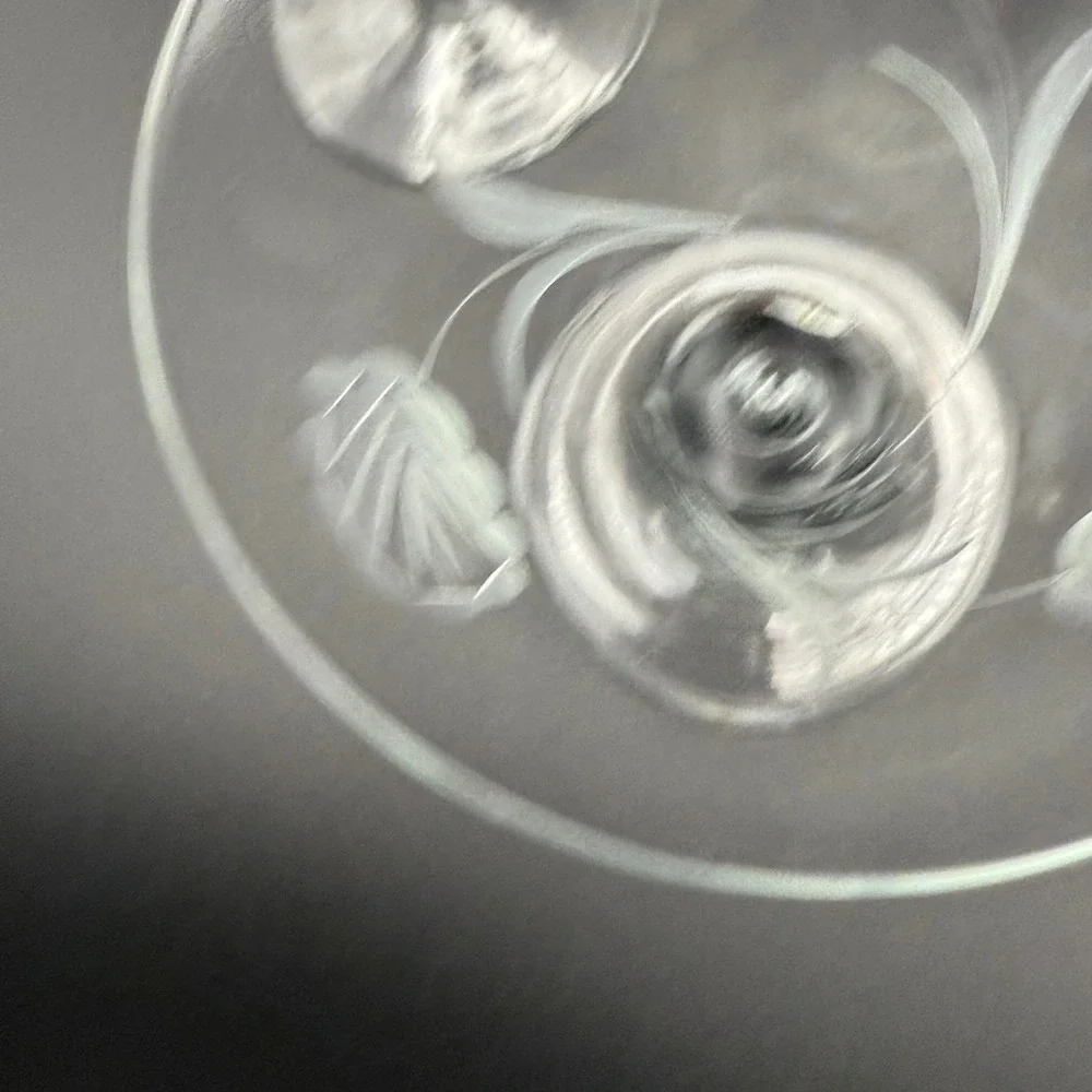 Vintage‎ Set 2 Etched Floral Martini Glasses Clear Glass Frosted Flower Stemware